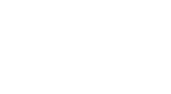 Stark Technology logo